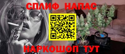 шишки Малгобек