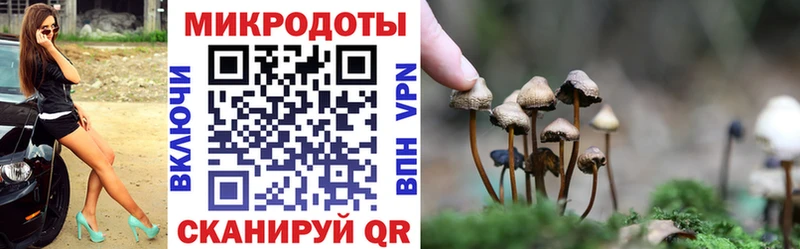 Псилоцибиновые грибы прущие грибы  где можно купить   Красноярск 