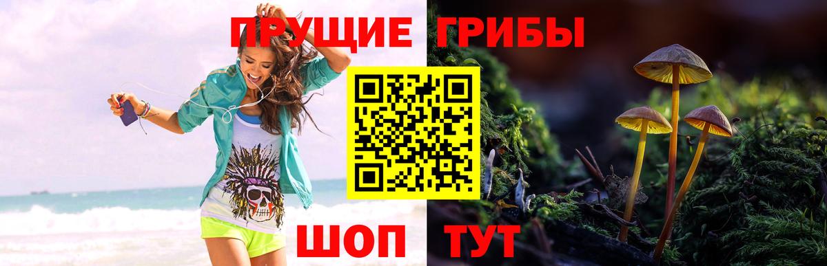 Псилоцибиновые грибы Magic Shrooms Красноярск