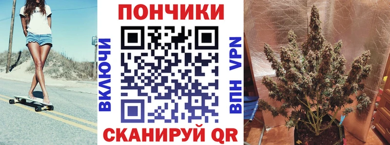 наркота  Красноярск  Шишки марихуана план 
